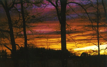 Winter sunset across the pasture beside my home...